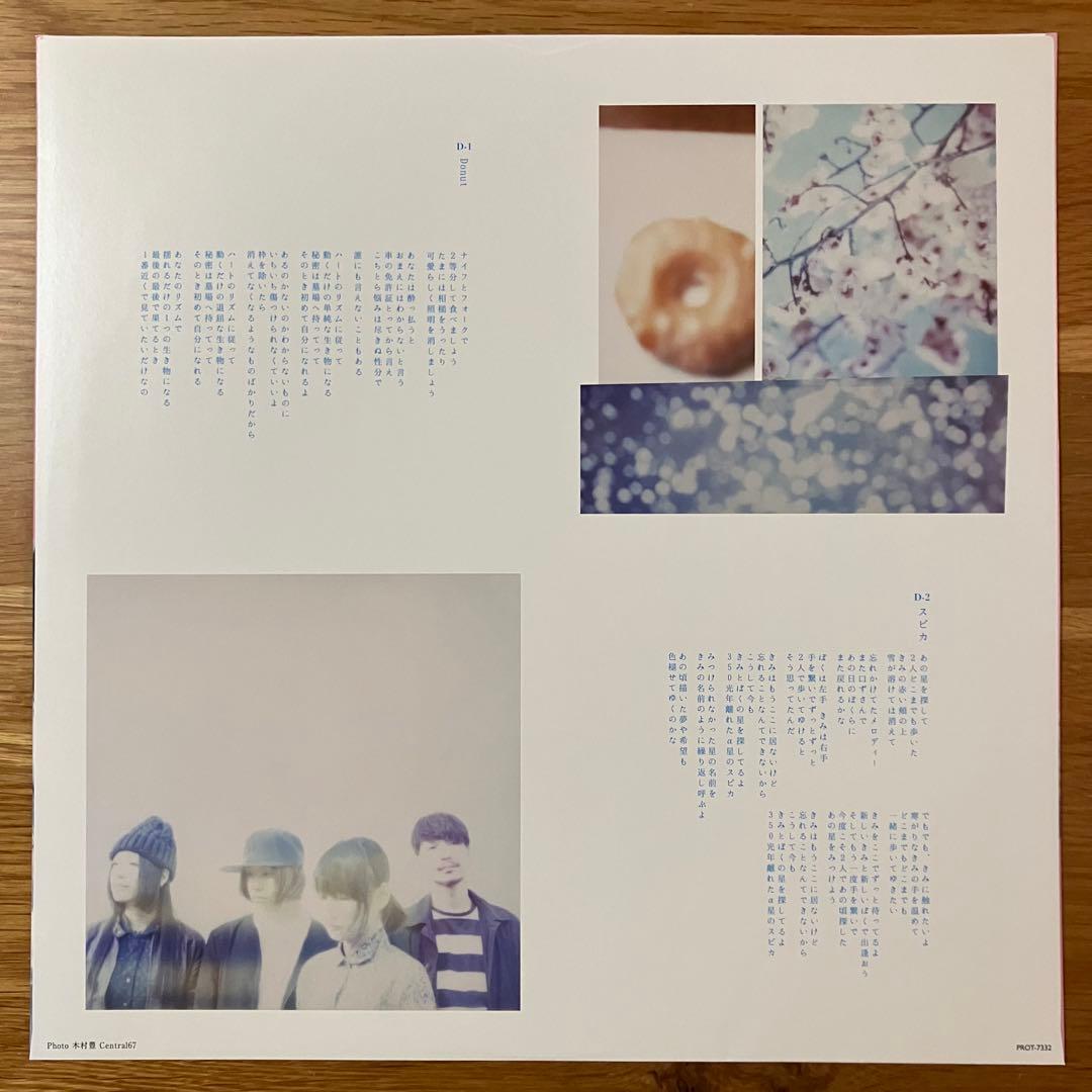 きのこ帝国 – 猫とアレルギー アナログレコード LP