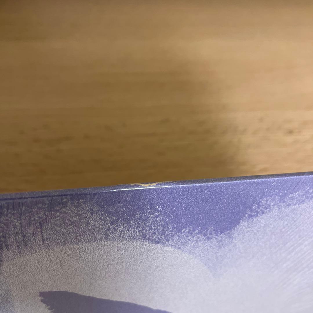 OGRE YOU ASSHOLE 100年後 LP