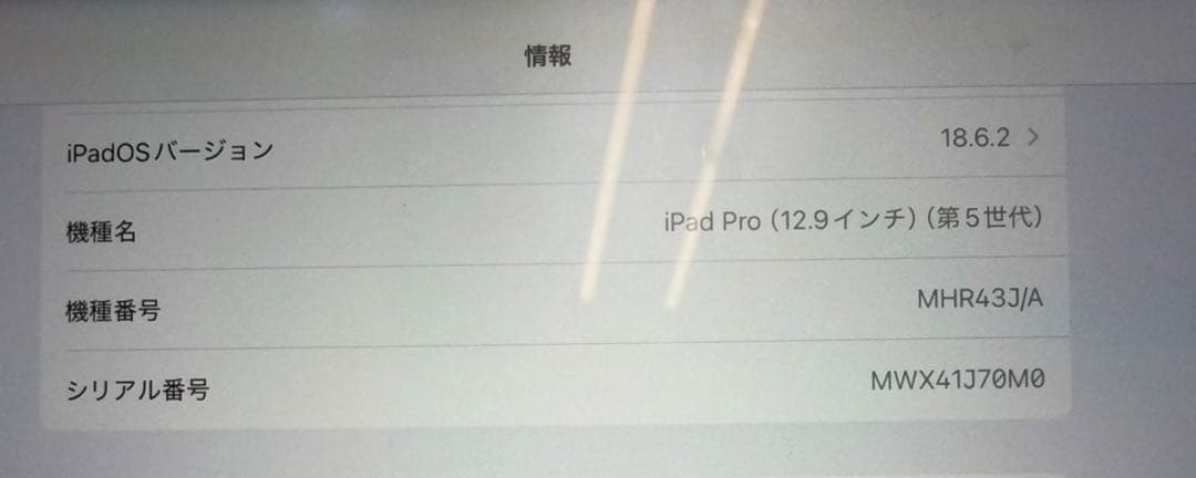 松*本様 iPad Pro 12.9インチ　5世代　 Wi-Fi+Cellula