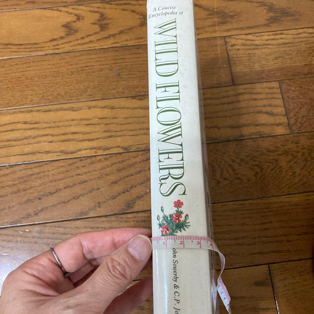 アンティークWILD  FLOWERS  by  John Ｅ. Sowerby