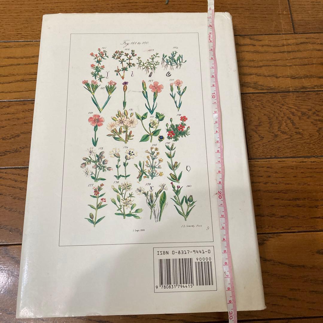 アンティークWILD  FLOWERS  by  John Ｅ. Sowerby