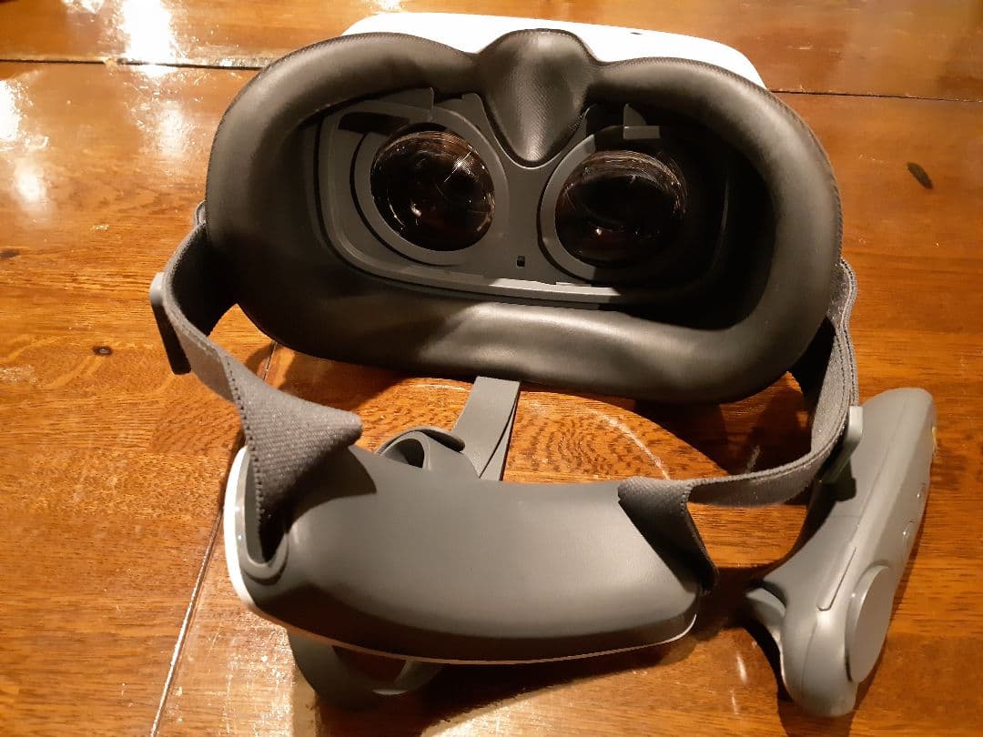 VR ピコG2