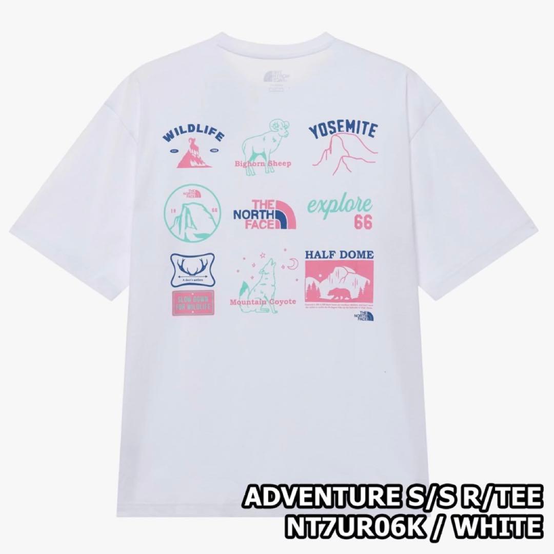 韓国限定☆THE NORTH FACE Tシャツ 半袖 メンズ Lサイズ