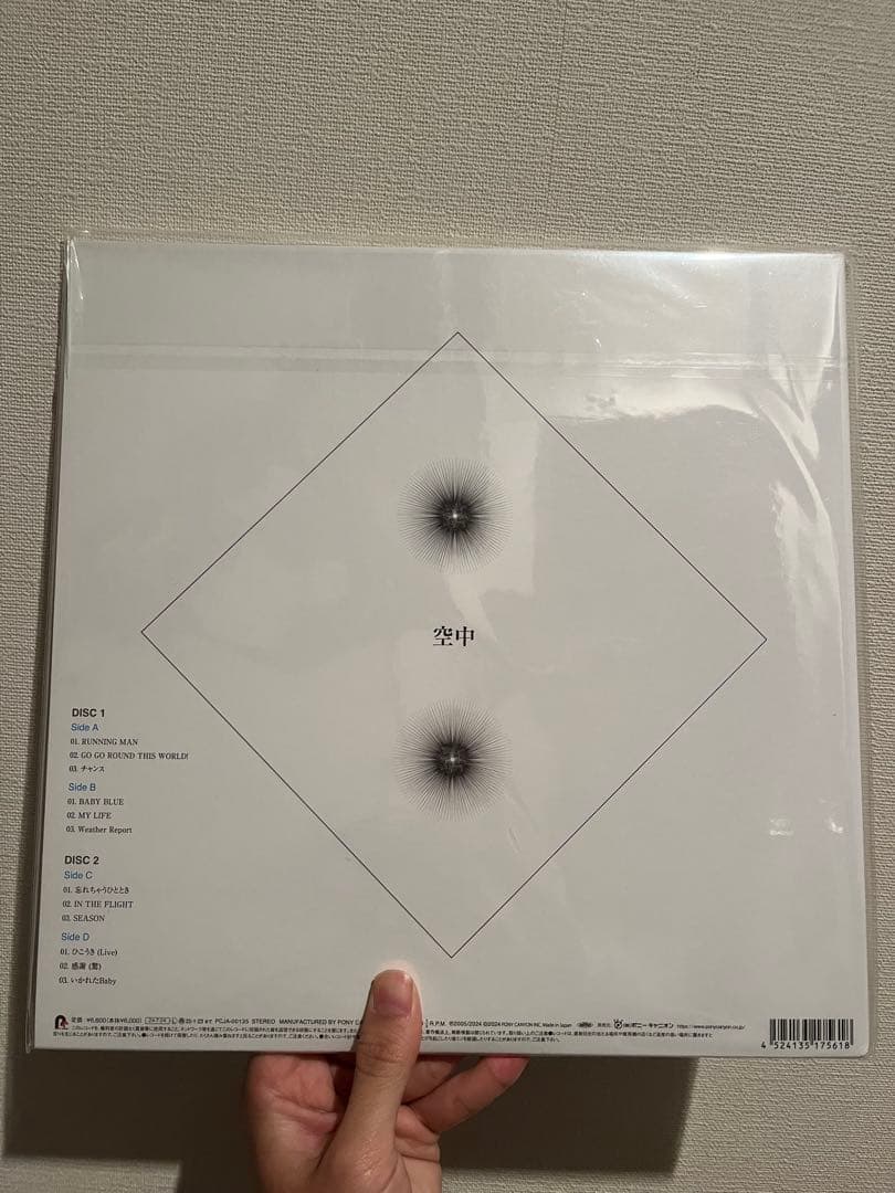 FISHMAN 2枚組 レコード　空中　宇宙