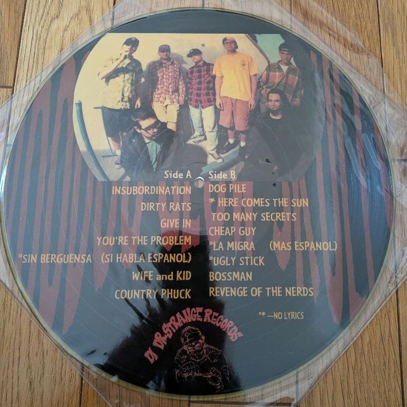 Voodoo Glow Skulls/ Who Is, This Is?レコード
