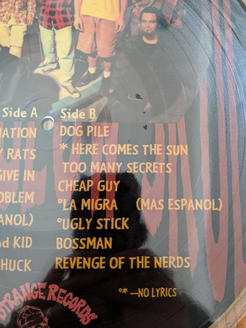 Voodoo Glow Skulls/ Who Is, This Is?レコード