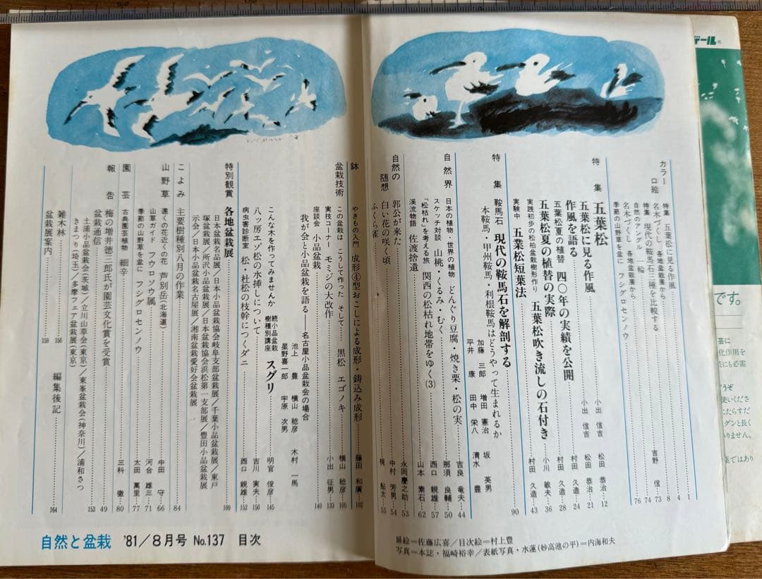 自然と盆栽 バックナンバー