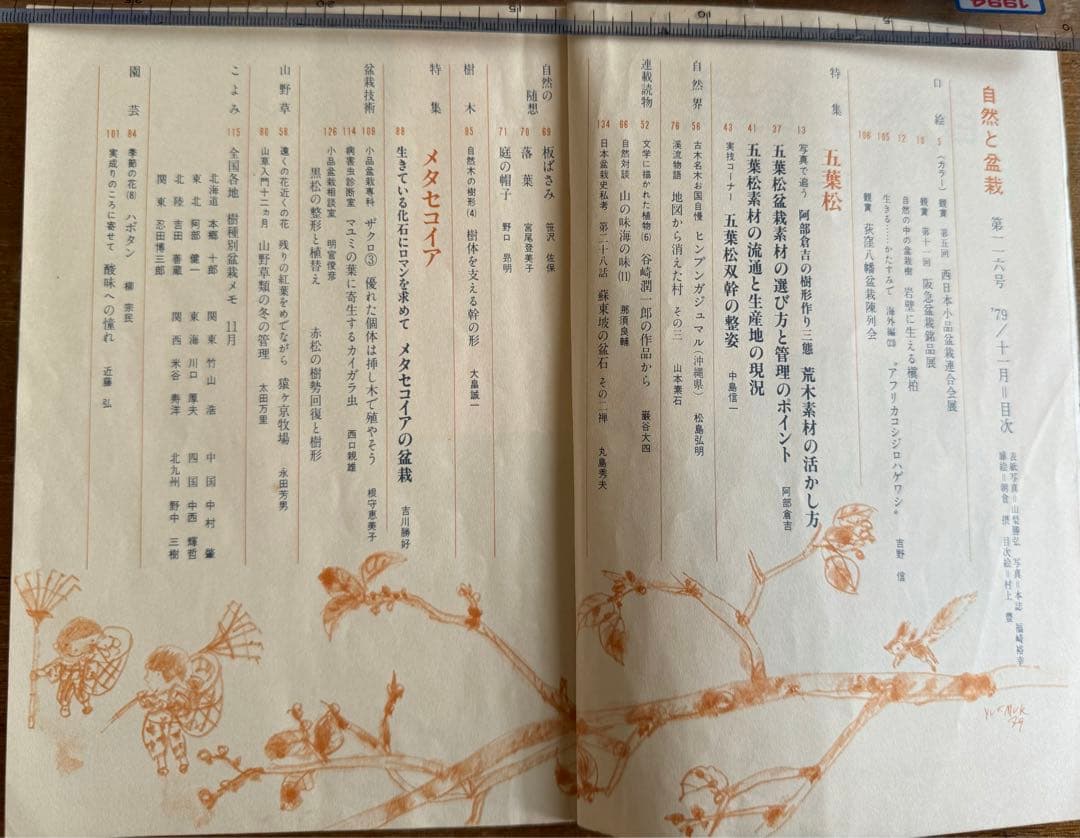 自然と盆栽 バックナンバー