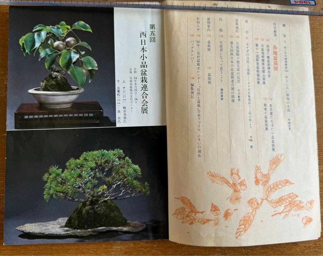 自然と盆栽 バックナンバー