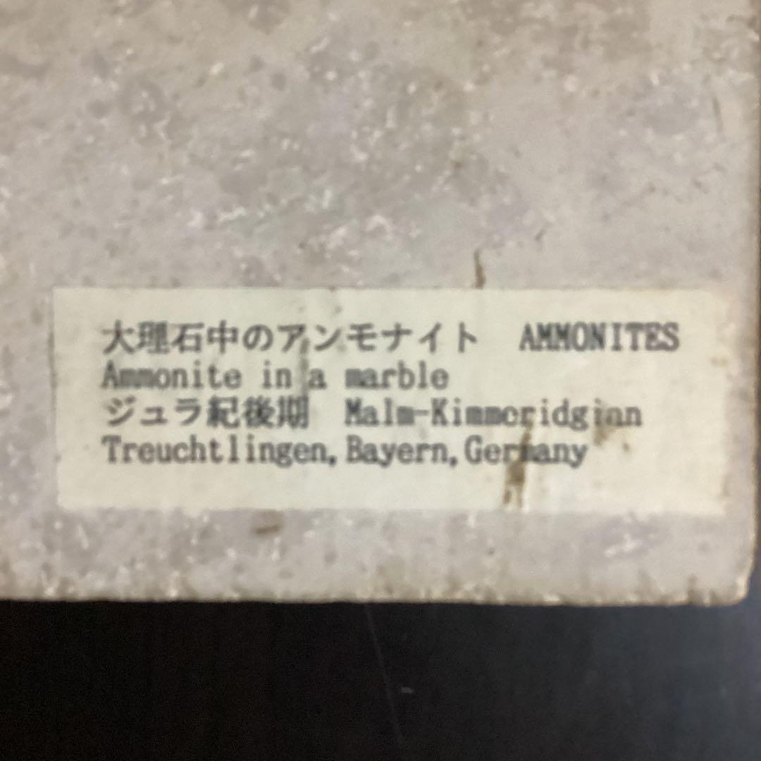 アンモナイト 大理石 装飾品