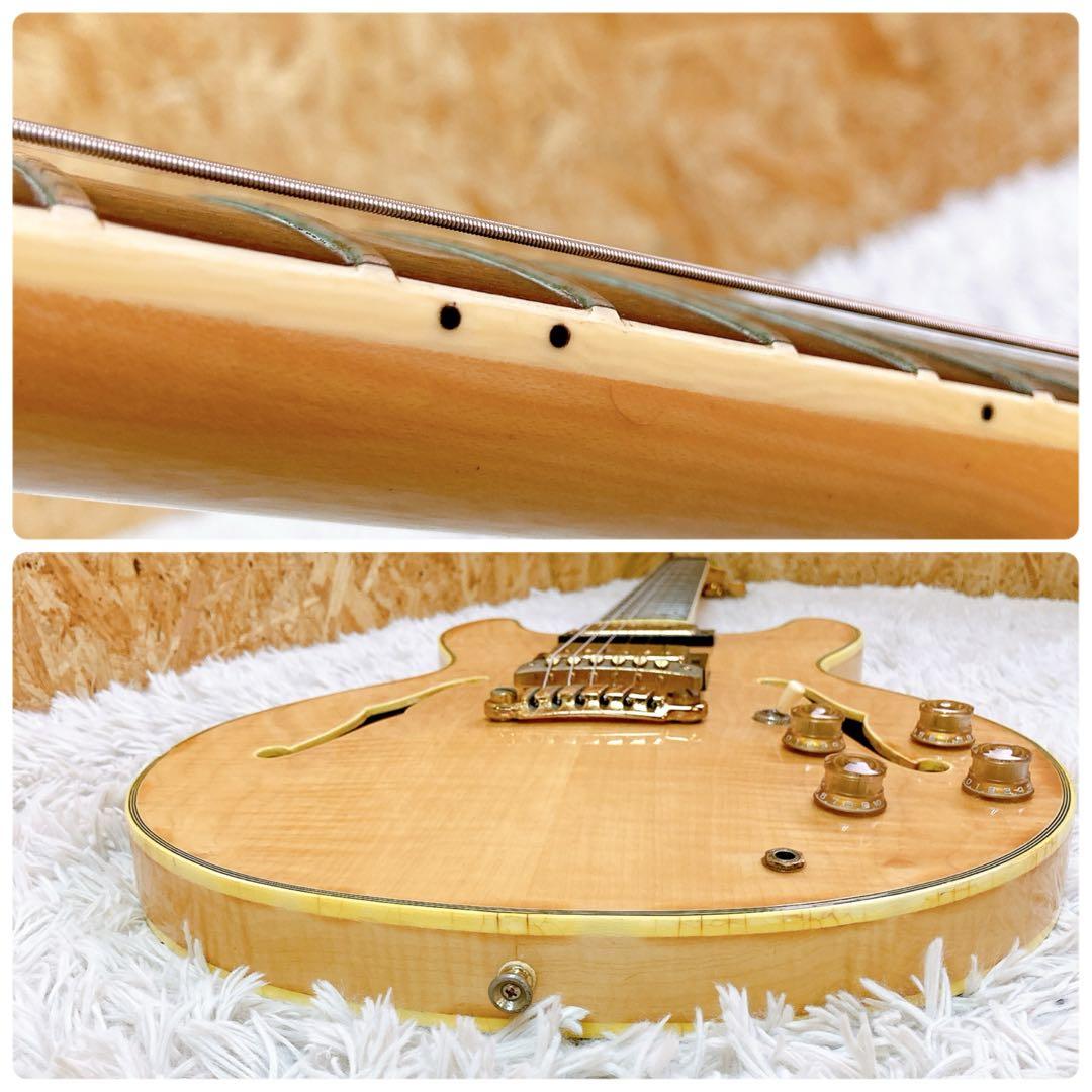 greco sv-800 グレコ　フジゲン　日本　JAPAN ケース付き