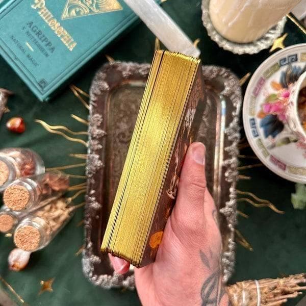 【訳あり特価】正規品タロットカード✨超美麗✨希少品 ダークなアリスの世界のデッキ
