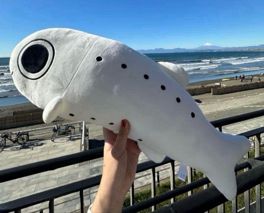 2等　新江ノ島水族館　えのすい　くじ　シラス　しらす　ぬいぐるみ