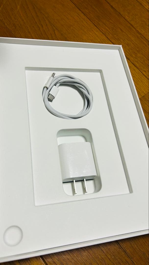 柳*郎様 Apple iPad シルバー 本体　10世代　ジャンク