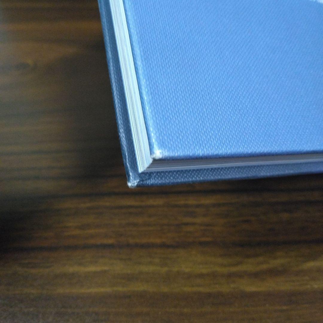 洋書 THE ENDLESS JOURNEY OF ALMA M. KARLIN