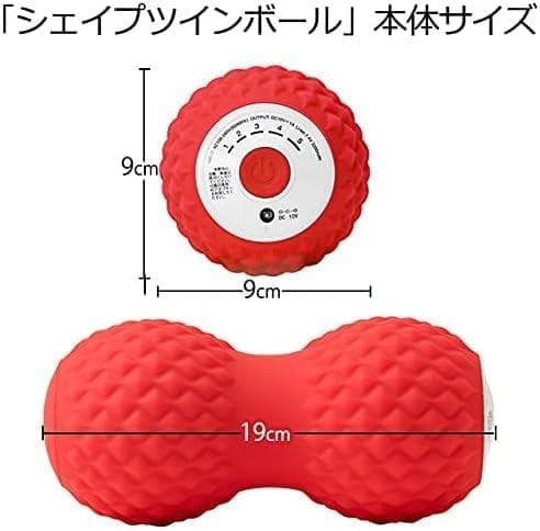 OASIS シェイプツインボール STB-100 ブラック 振動5段階