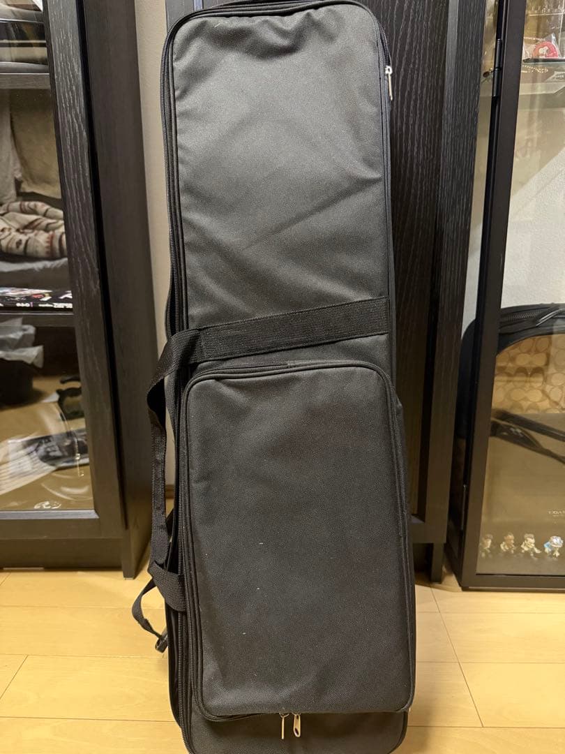三線　人工蛇革　付属品付き　沖縄