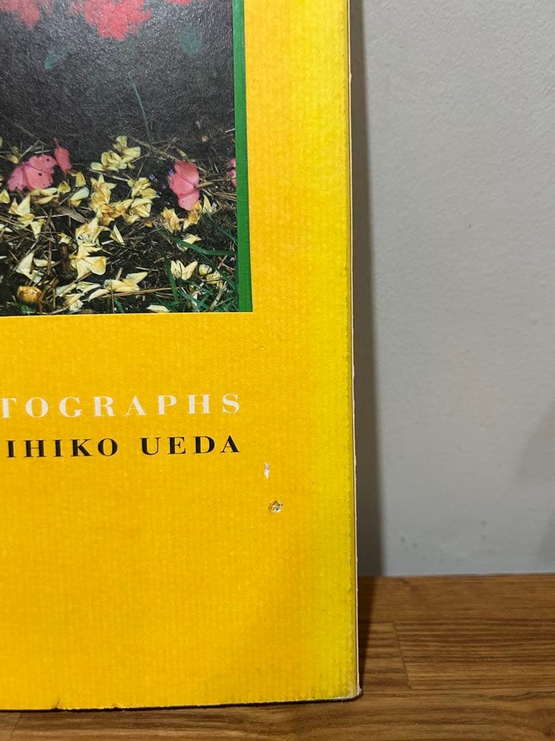 希少　上田義彦　写真集　YOSHIHIKO　UEDA　PHOTOGRAPHS