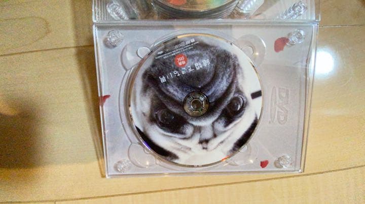 結婚できない男 DVD-BOX〈7枚組〉　⚠️本日限定！大幅値下げ！！