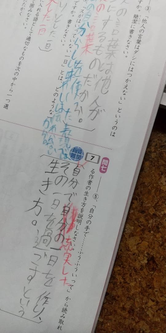 エブリスタディ アドバンスト 国語 トータル指導プラン 小6
