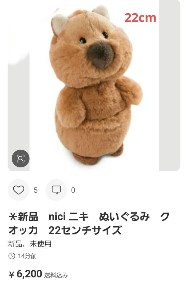 専用　　クオッカ　２体