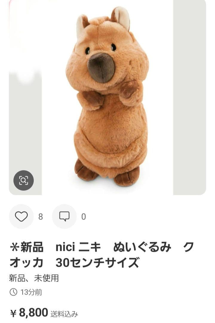専用　　クオッカ　２体
