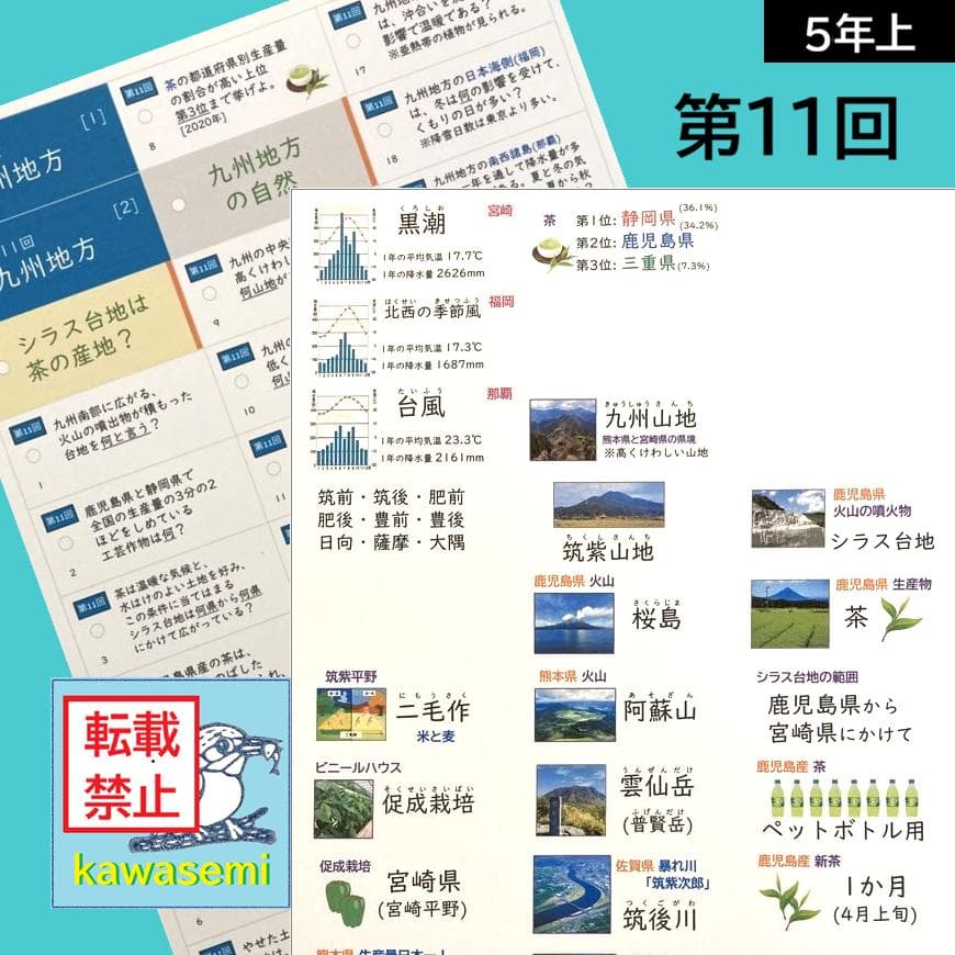カット済【中学受験】予習シリ 社会 5年上(第11-14回) 地理 暗記カードa
