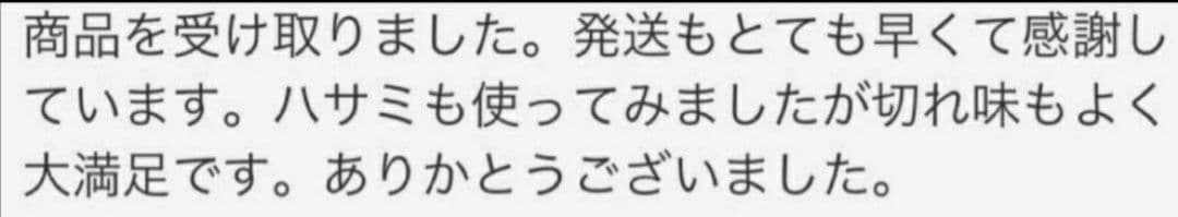快適に切れるプロ用セニングシザー10%人気の溝無し両面可✨理美容師すきばさみ