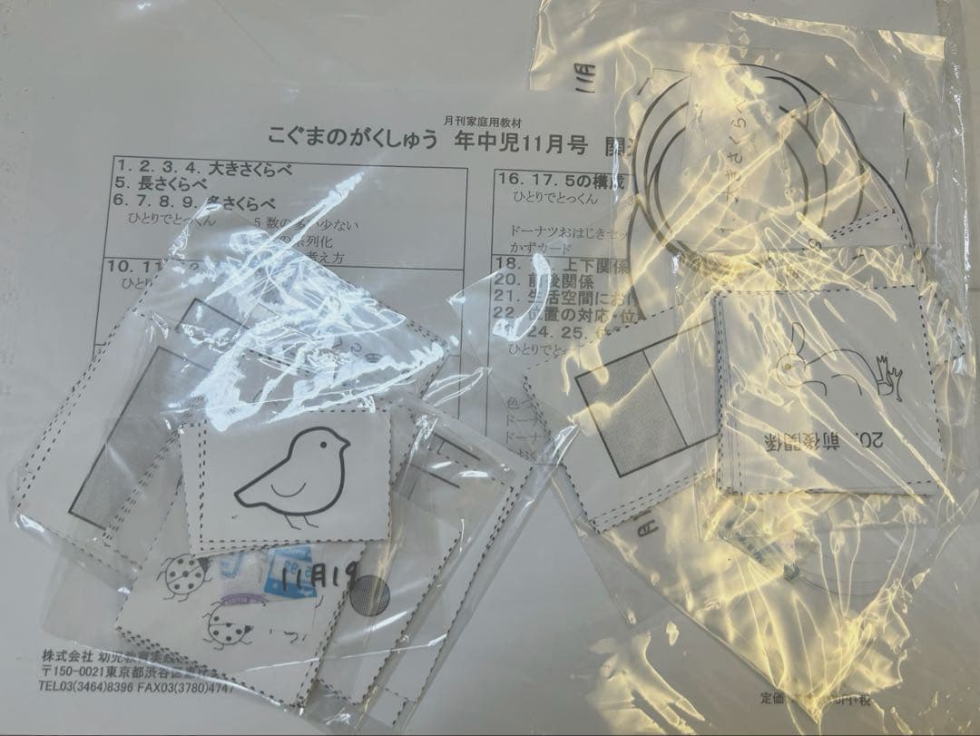 こぐま会:こぐまのがくしゅう　年中フルセット12ヶ月分(小学校受験)