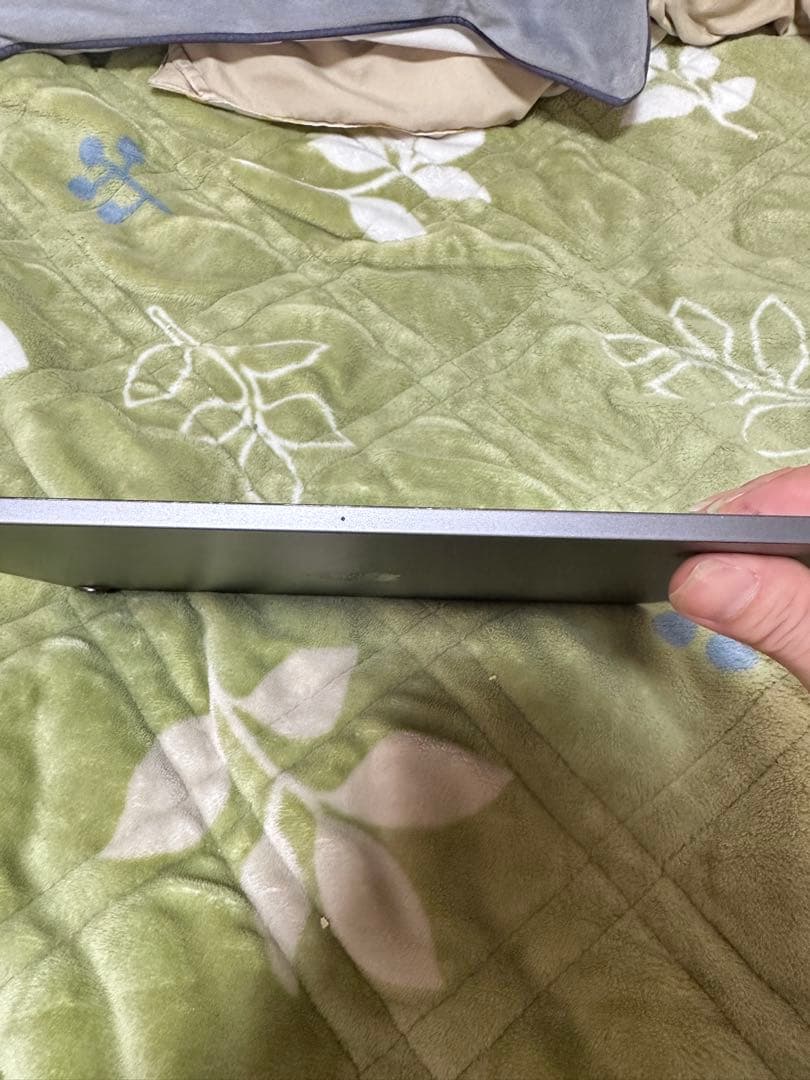 iPad pro 第1 256gb