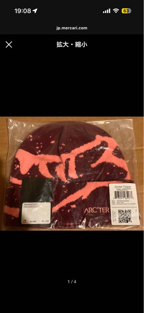 【希少】ARC'TERYX ビーニー ニット帽 バーガンディ