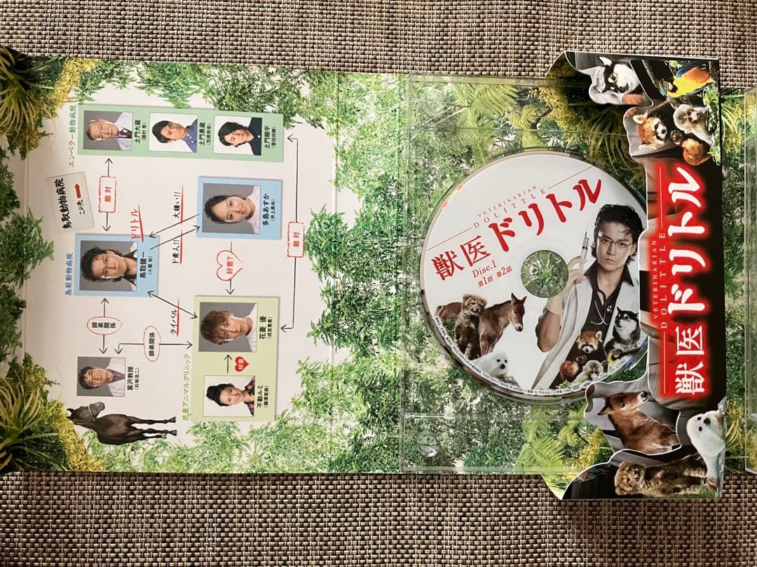 獣医ドリトル ＤＶＤ-ＢＯＸ6枚組 [DVD] 井上真央 小栗旬