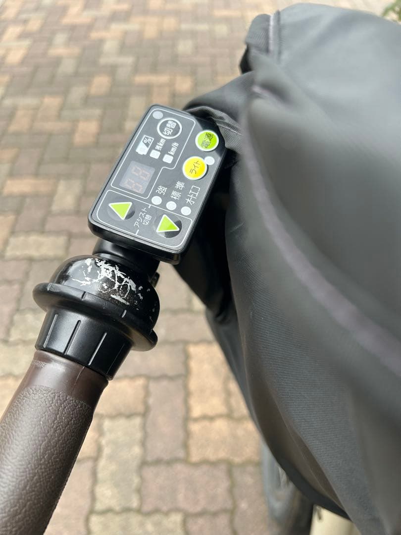 ブリヂストン　bikke POLAR e ベージュ 2021モデル