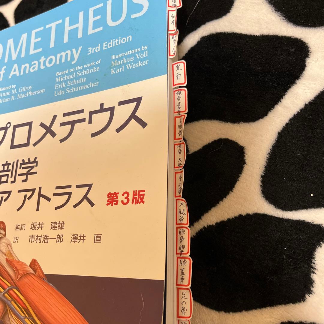 プロメテウス解剖学コアアトラス　第3版