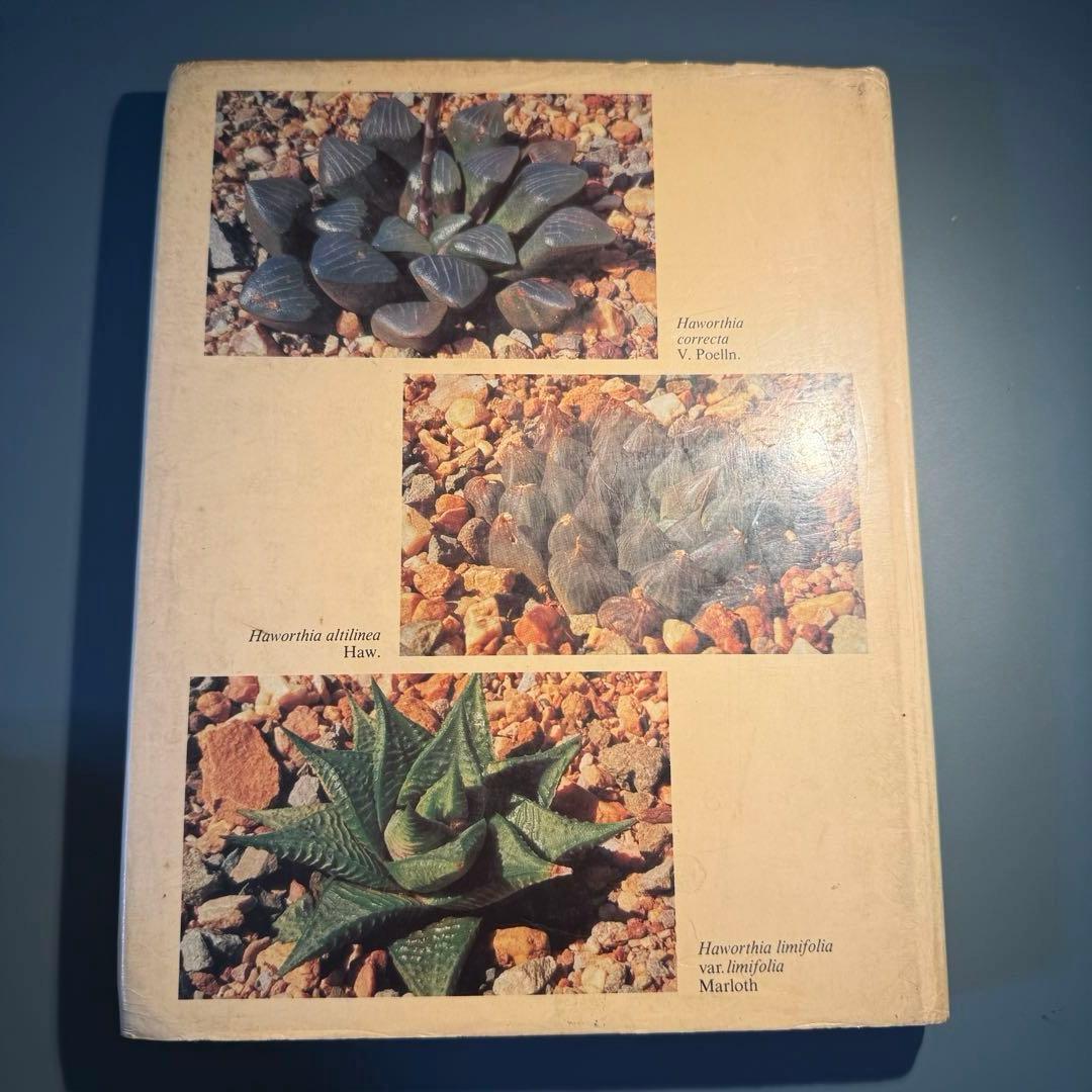 洋書　古書　希少　ヴィンテージ植物図鑑　繊細で美しい植物画
