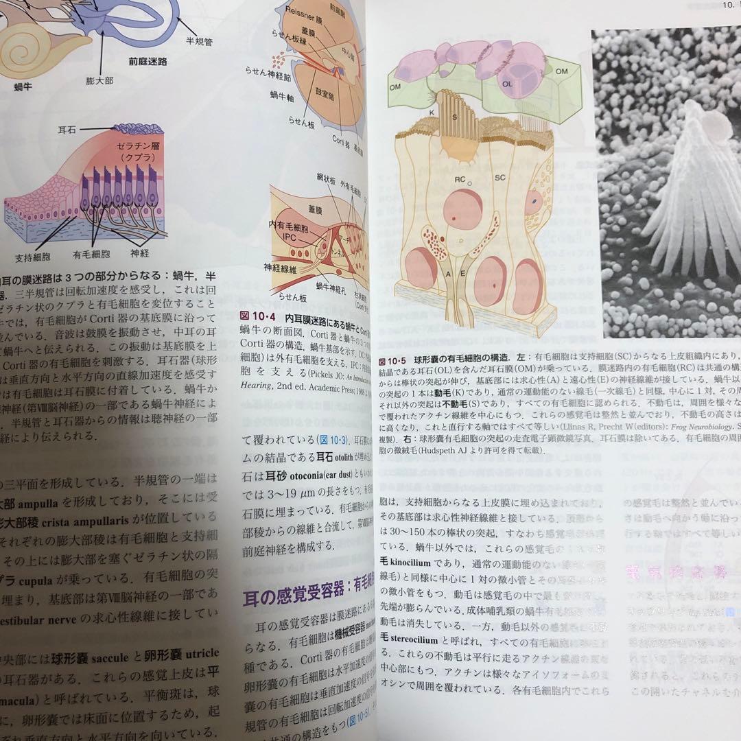 ギャノング生理学　値下げ交渉ありです