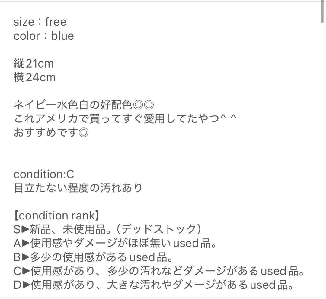 ボーダー ビーニー ニット帽 ブルー Y2K greeny Tyrol