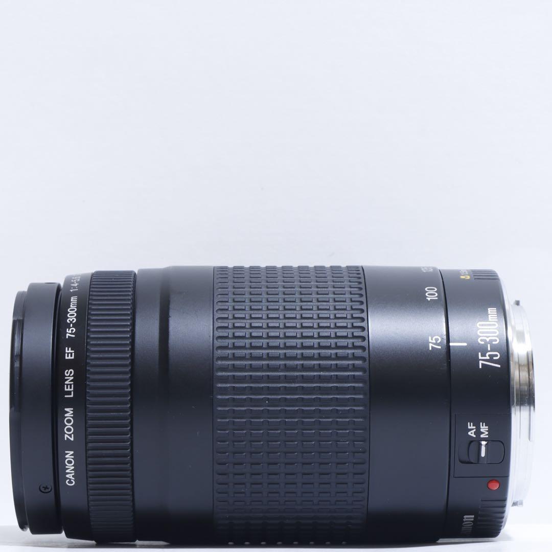 ◇ 大迫力300mm超望遠 ◇Canon純正 75-300mm II型 ◇
