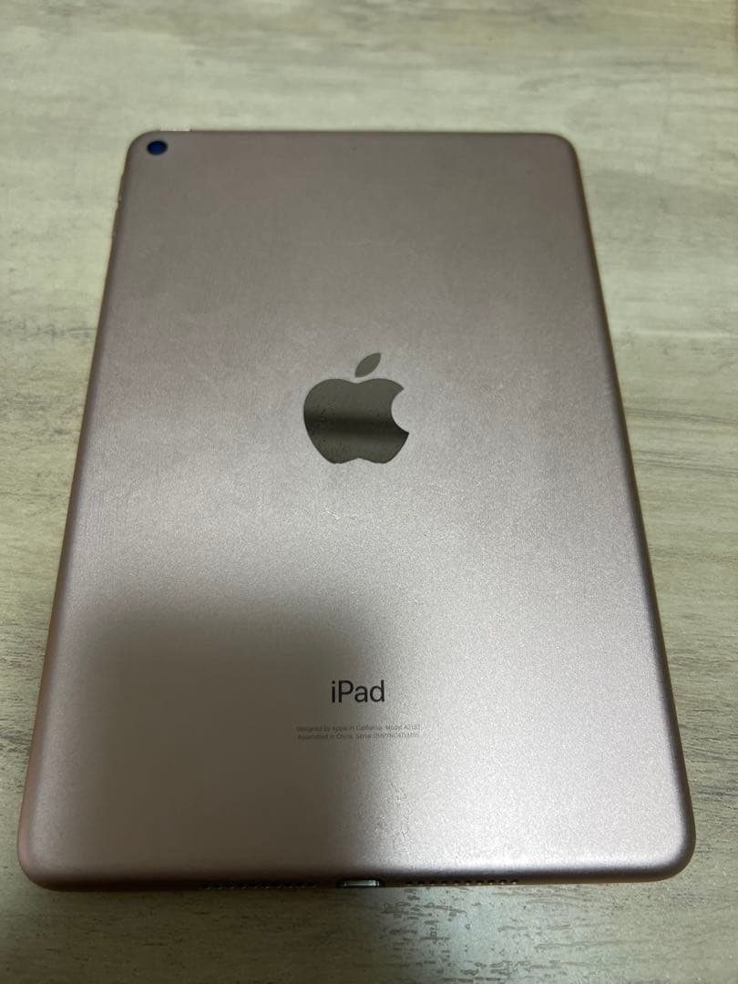 iPad mini 5 64GB バッテリー88％