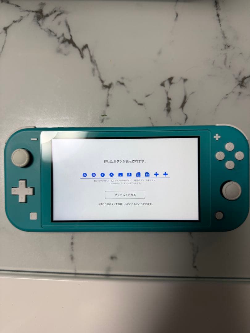 Switch Light 本体　ケース