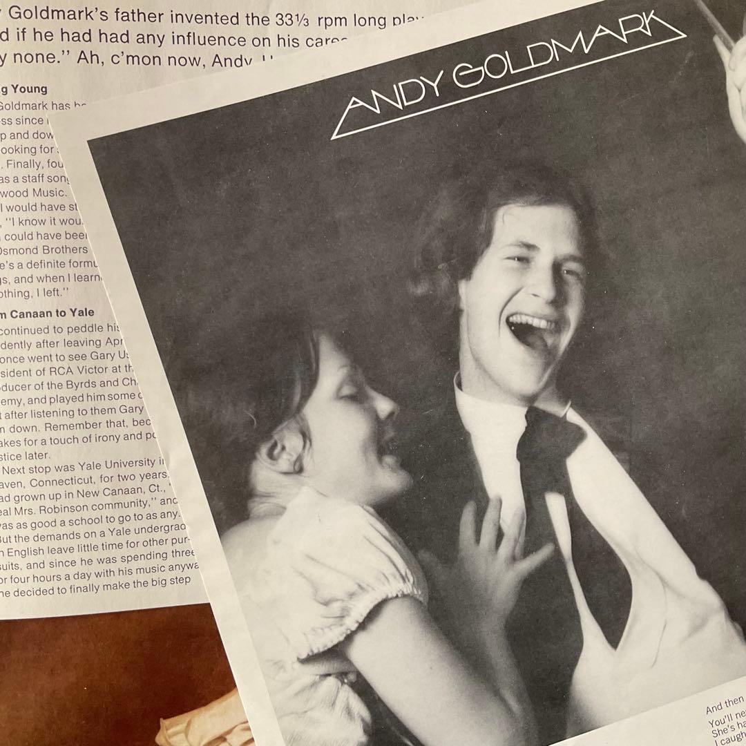 洋楽 ANDY GOLDMARK