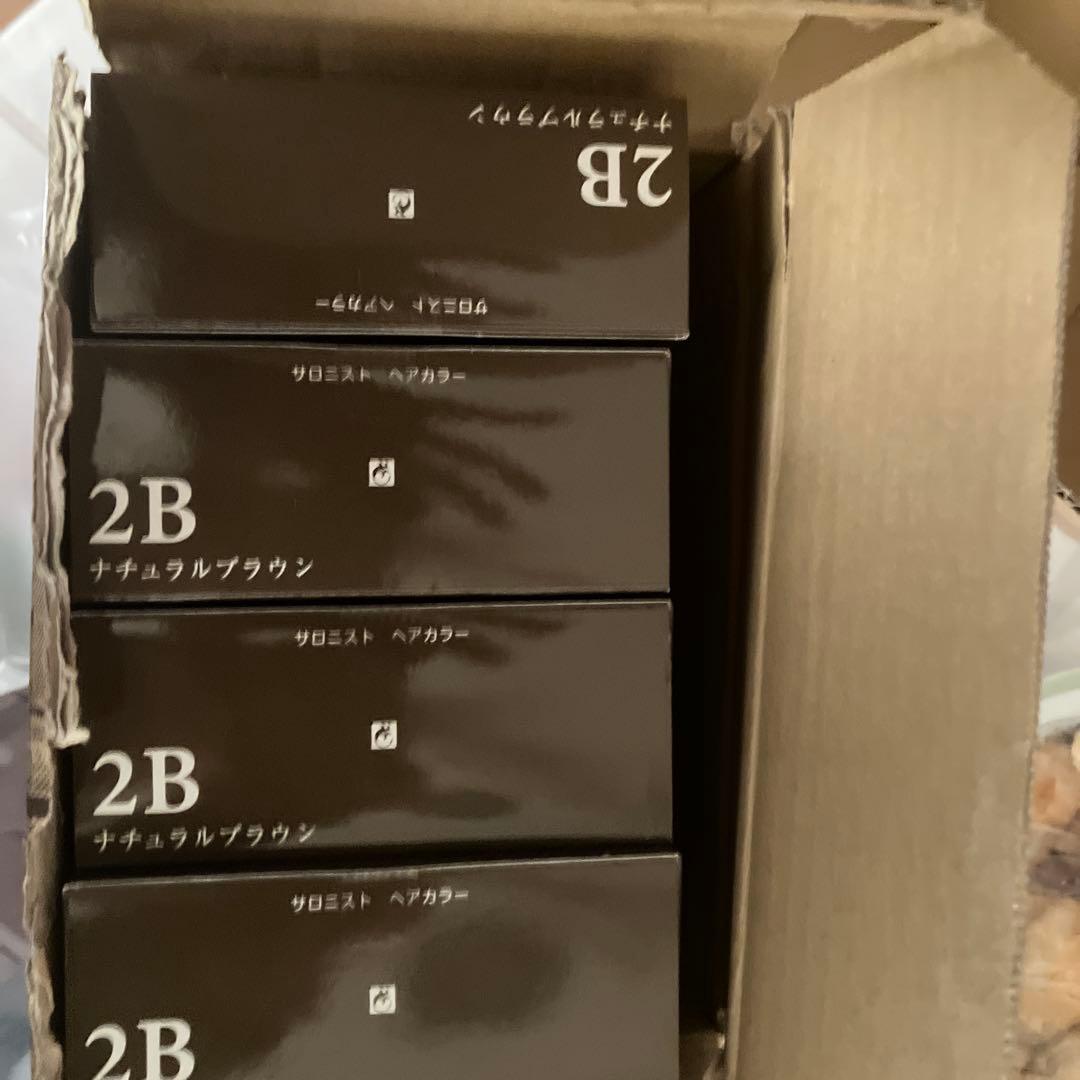 ecmer SALONIST HAIR COLOR 2B ナチュラルブラウン