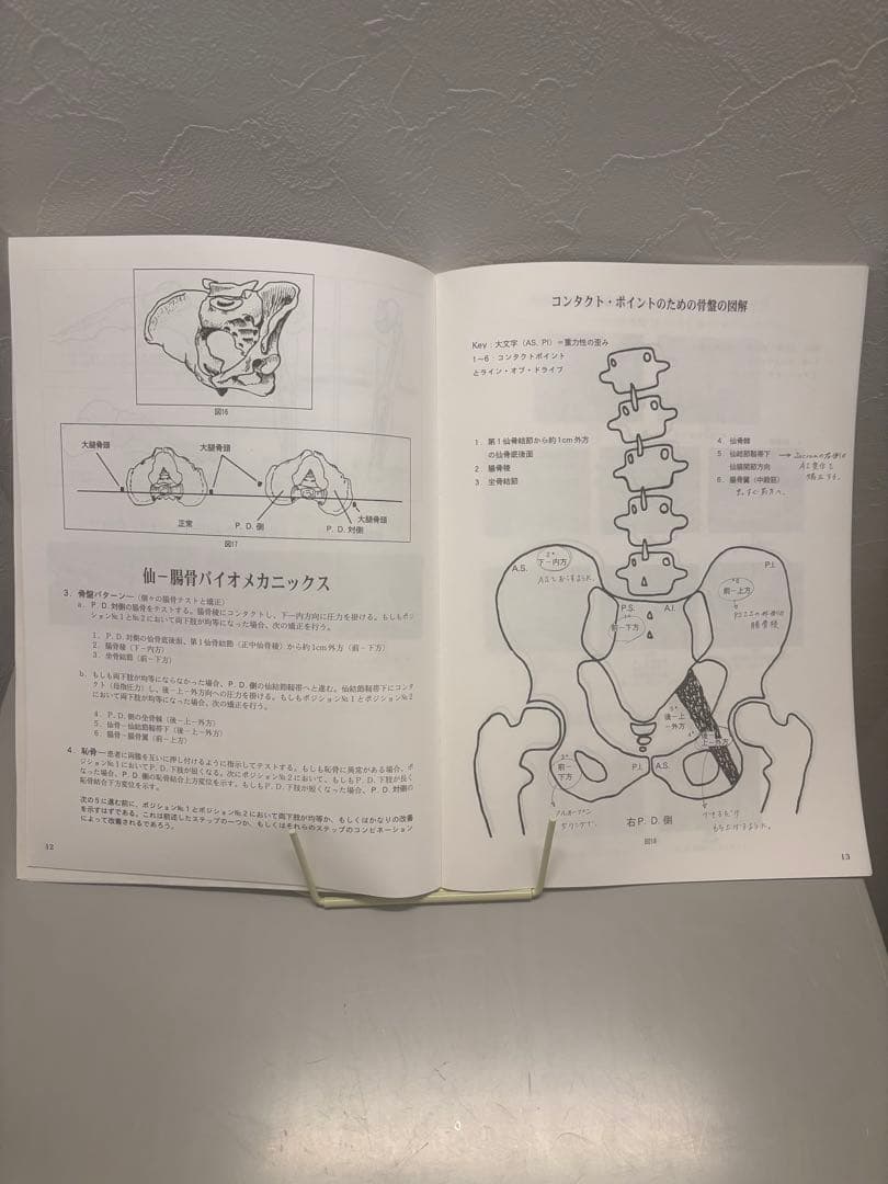 【2冊】アクティベーター・ベイシック・マニュアル&アクティベーター　ベーシック