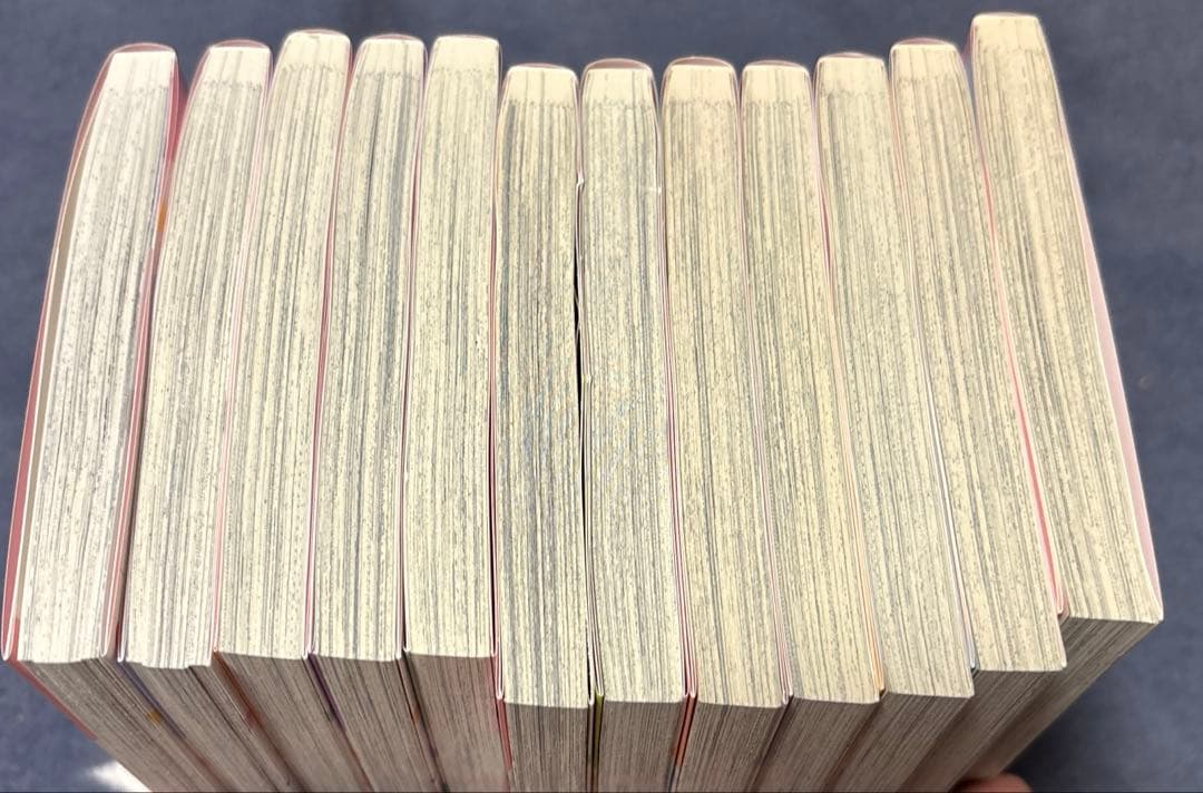主人恋日記 全12巻セット　完結