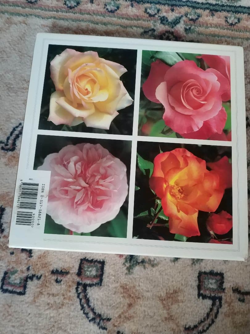 アート・デザイン・音楽 THE ROSE BIBLE Rayford Clayton Beddell