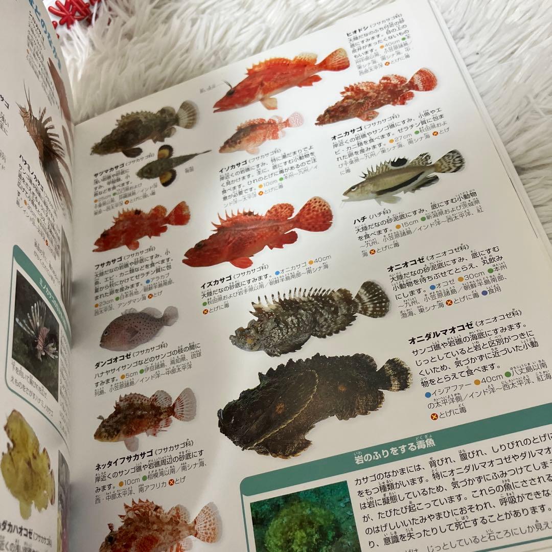 小学館 図鑑NEOシリーズ　プレneo 図鑑　図鑑まとめ　セット