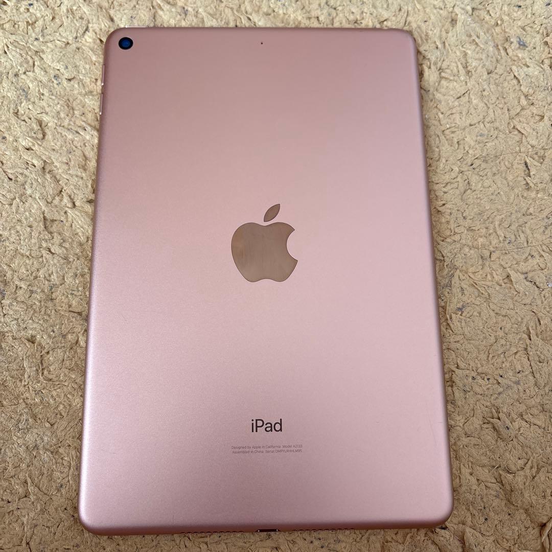 iPadmini 5世代 変換アダプタ付き