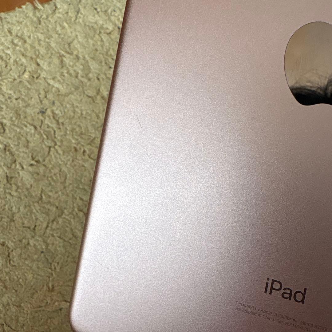 iPadmini 5世代 変換アダプタ付き