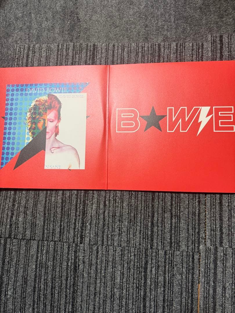 デビッドボウイ レコード盤 レガシー 2枚組