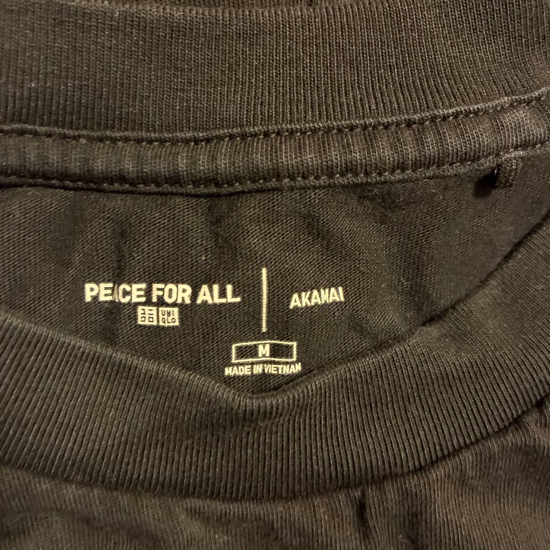 アカマイ　AKAMAI Tシャツ　5枚セット